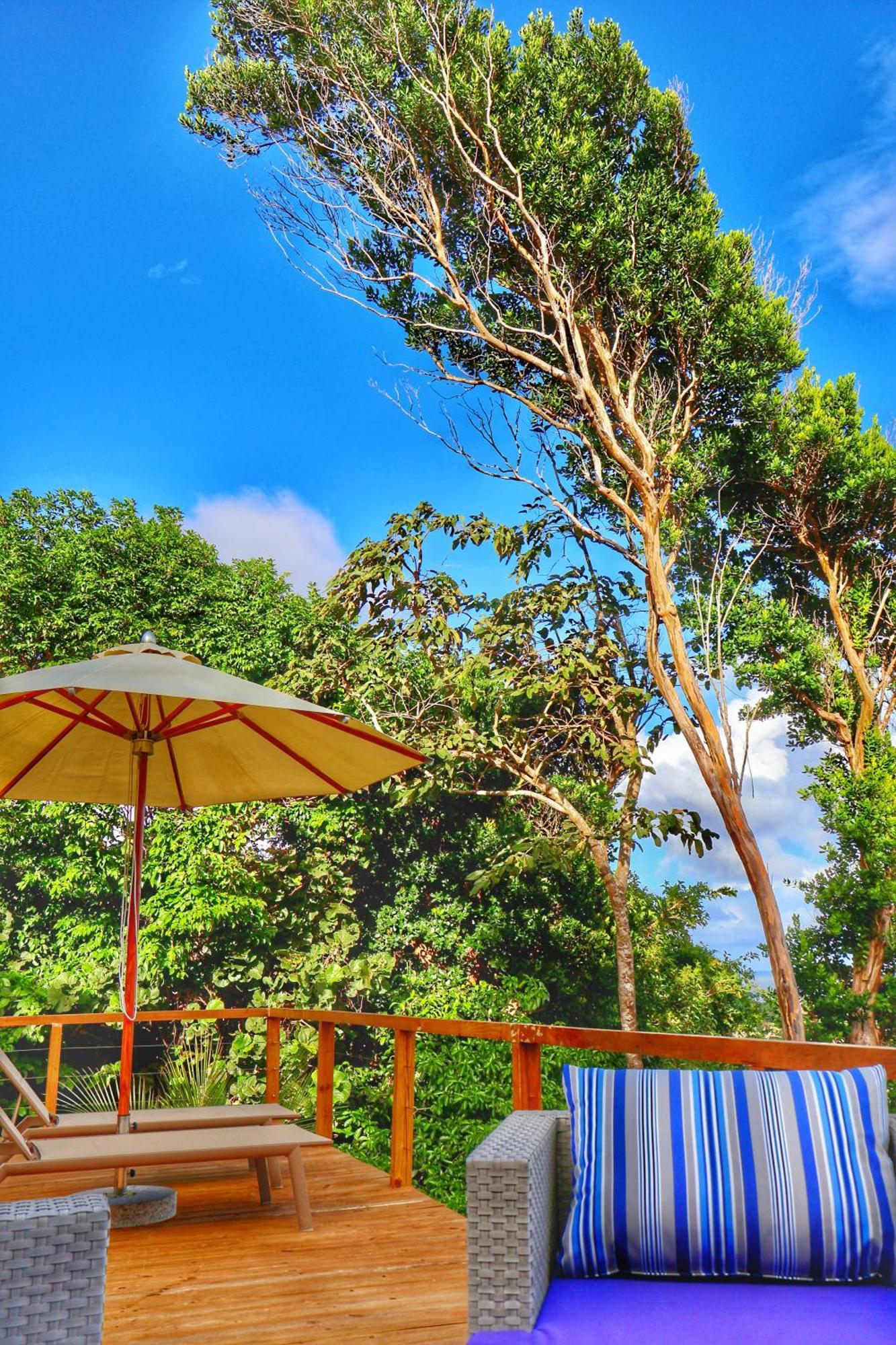 Blue Whale Villa Calibishie Dış mekan fotoğraf